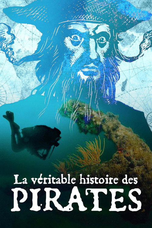 La Véritable histoire des pirates — постер