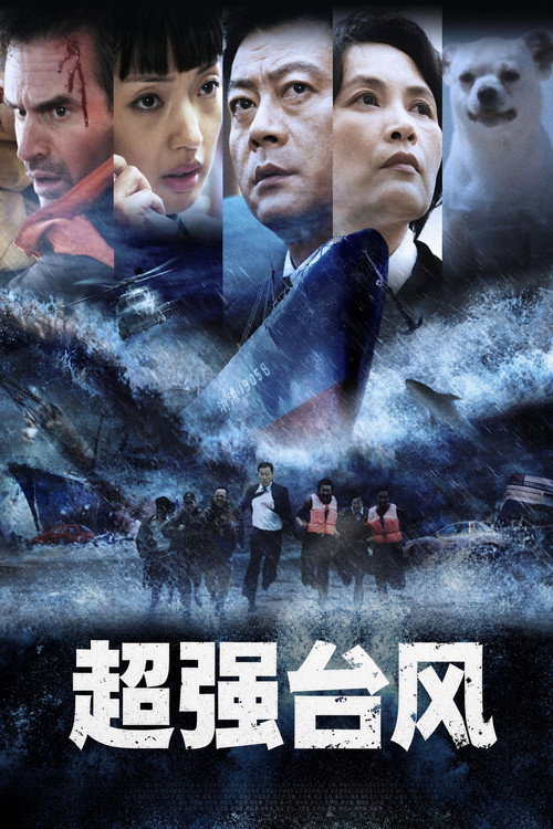 超强台风 — постер