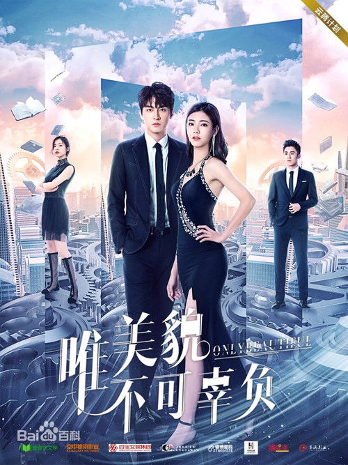唯美貌不可辜负 — постер