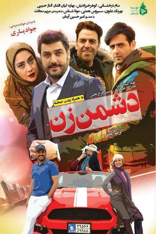 دشمن زن — постер