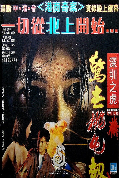 深圳之虎：驚世桃色劫 — постер