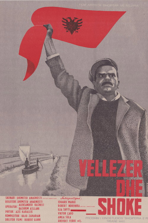 Vëllezër dhe shokë — постер