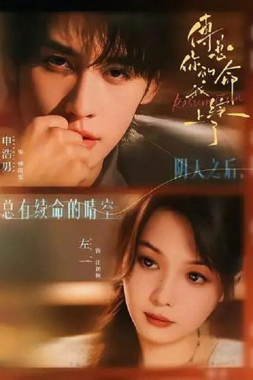 傅总，你的命我续上了 — постер
