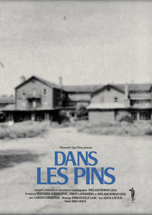 Dans les pins — постер