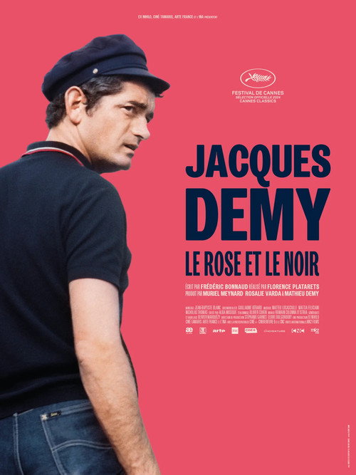 Jacques Demy, le rose et le noir — постер