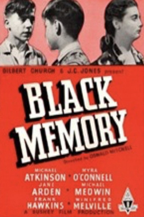 Black Memory — постер