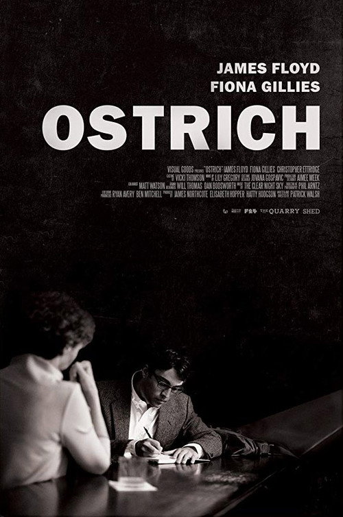 Ostrich — постер