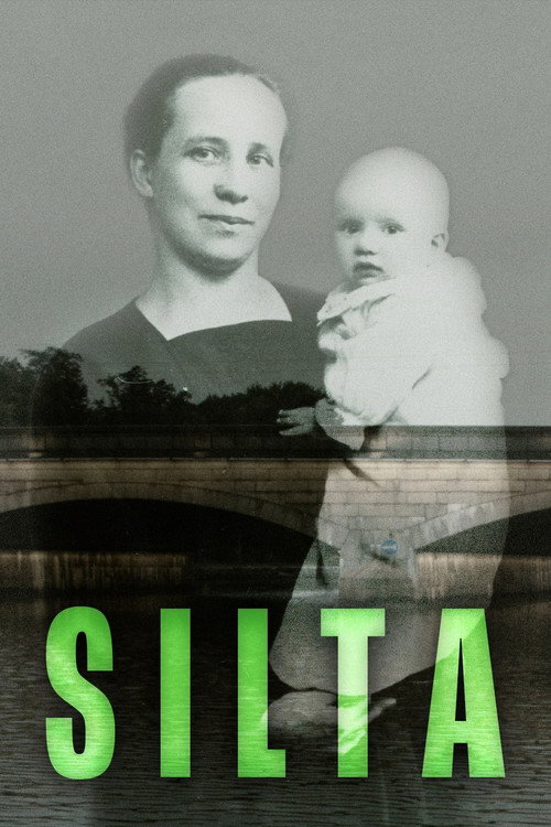 Silta — постер