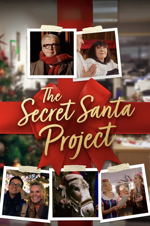 The Secret Santa Project — постер
