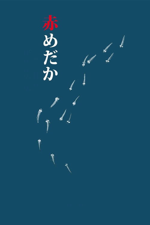 赤めだか — постер