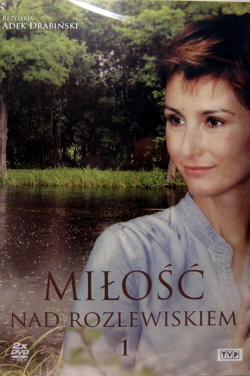 Miłość nad rozlewiskiem — постер