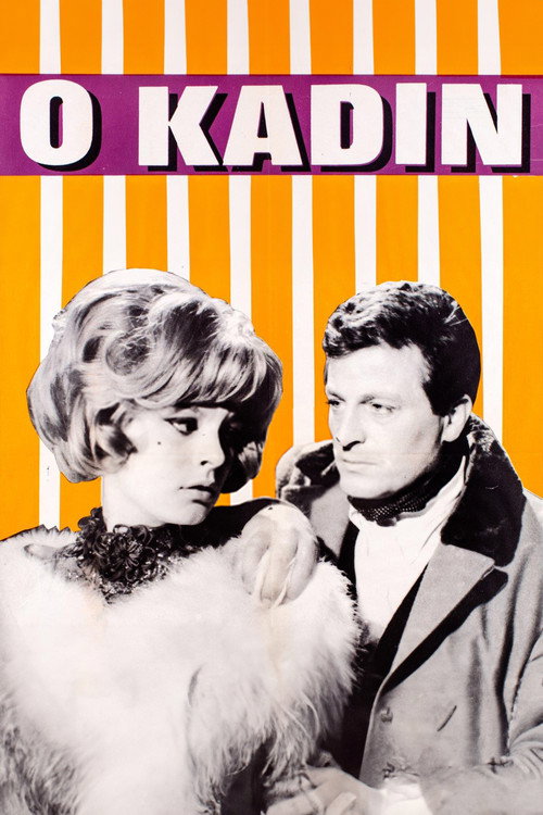O Kadın — постер