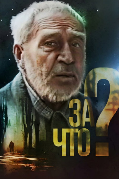 За что? — постер