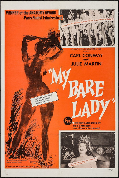 My Bare Lady — постер