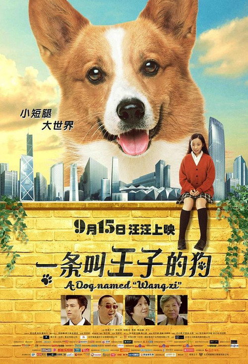 一条叫王子的狗 — постер