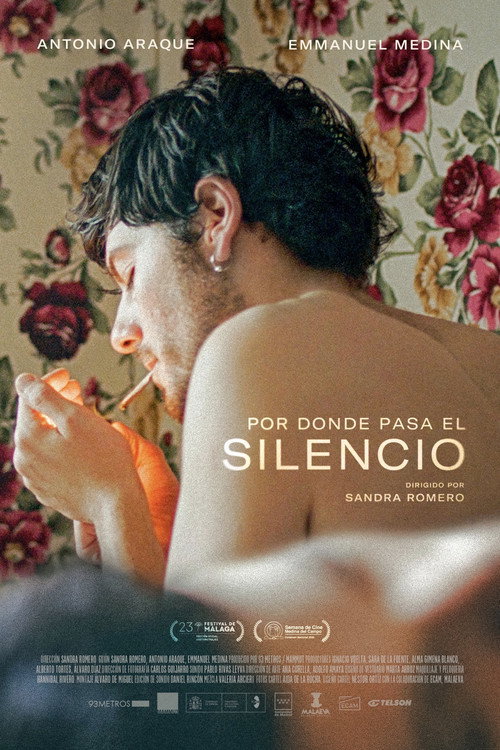Por donde pasa el silencio — постер