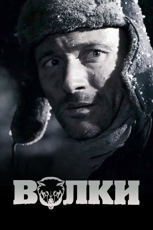 Волки — постер
