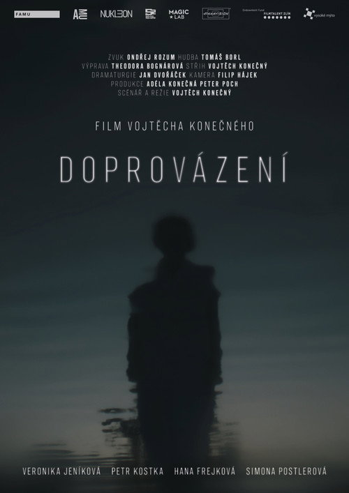 Doprovázení — постер
