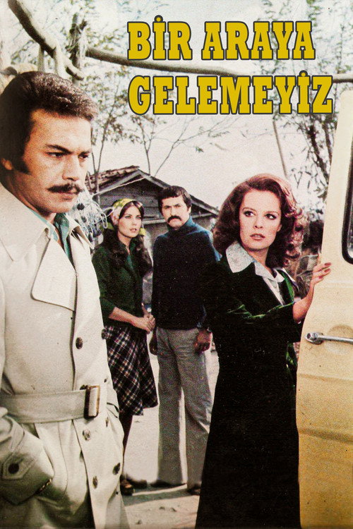 Bir Araya Gelemeyiz — постер