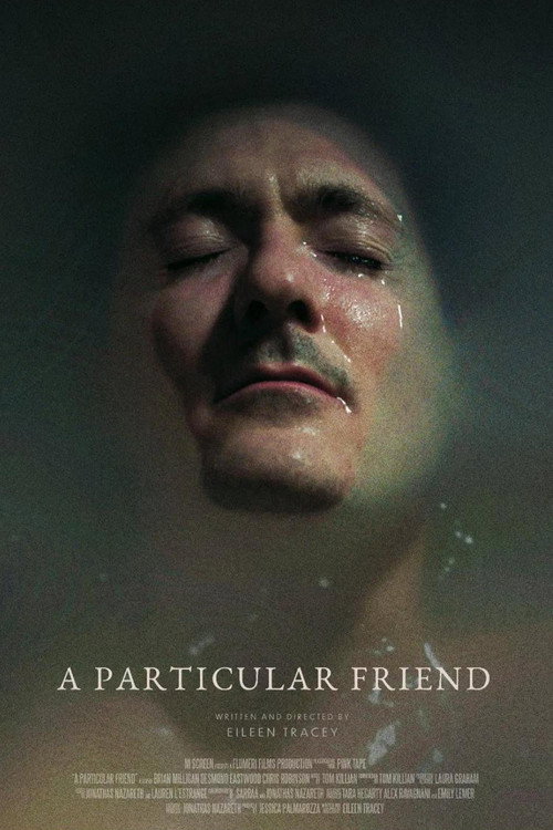 A Particular Friend — постер
