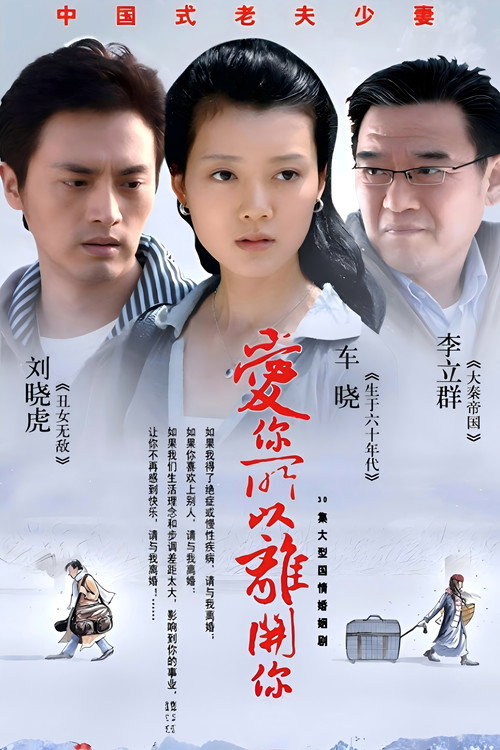 爱你所以离开你 — постер