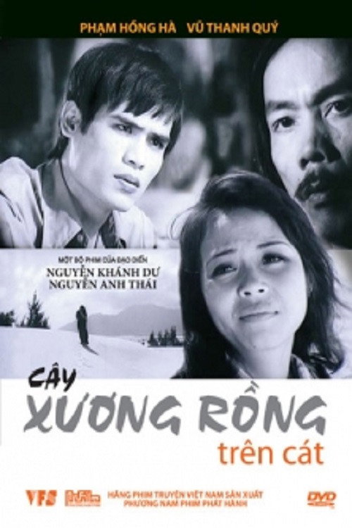 Cây Xương Rồng Trên Cát — постер