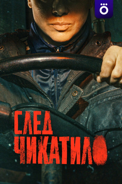 След Чикатило — постер