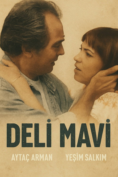 Deli Mavi — постер