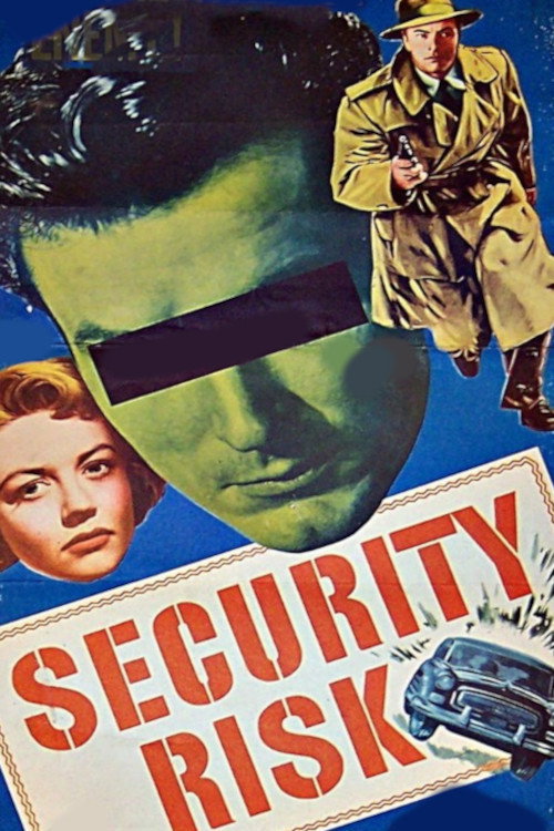 Security Risk — постер