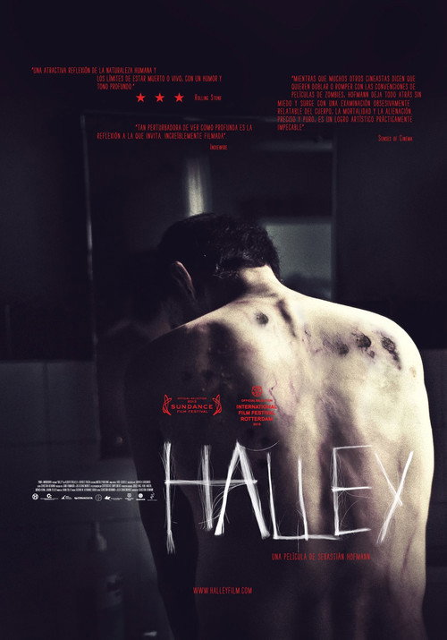 Halley — постер