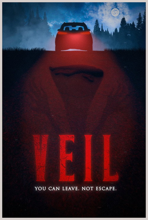 VEIL — постер