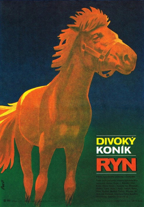 Divoký koník Ryn — постер