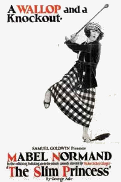 The Slim Princess — постер