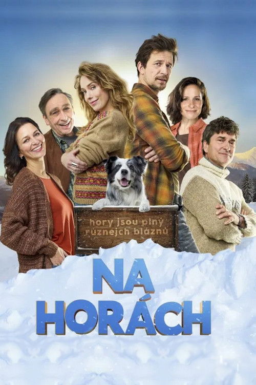 Na horách — постер