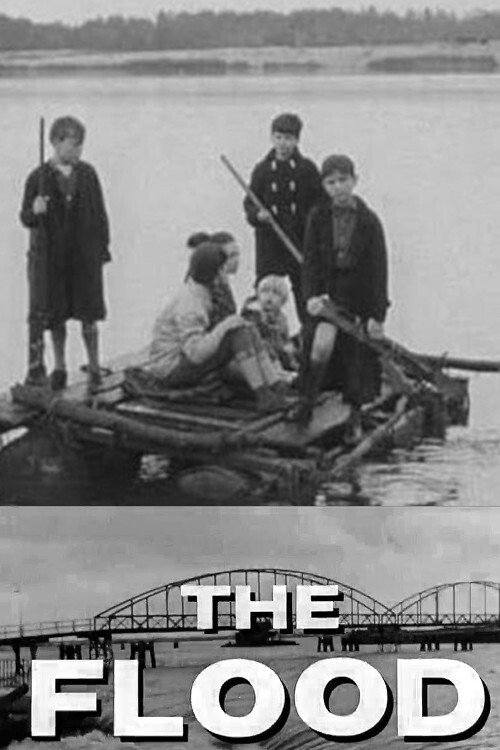 The Flood — постер