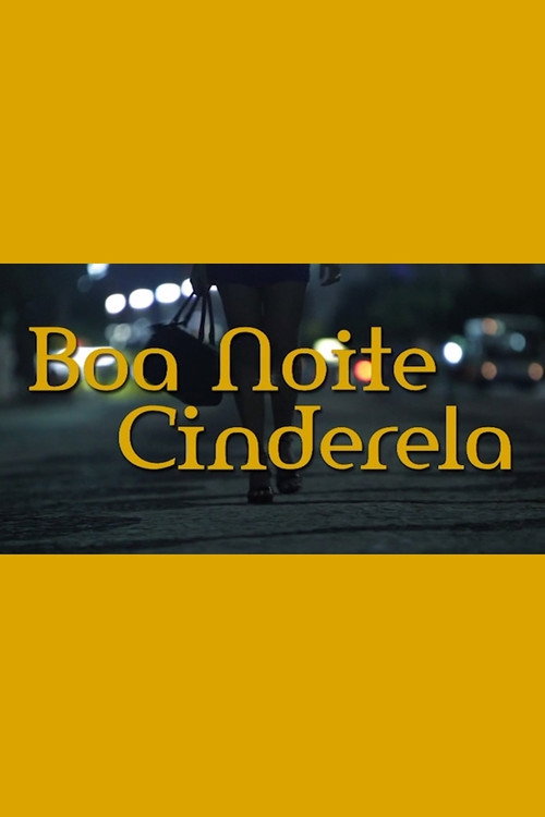 Boa Noite Cinderela — постер