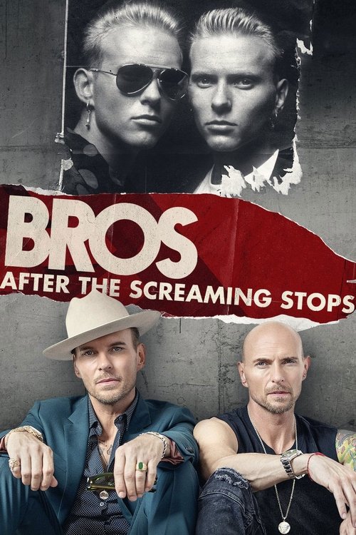 After the Screaming Stops — постер