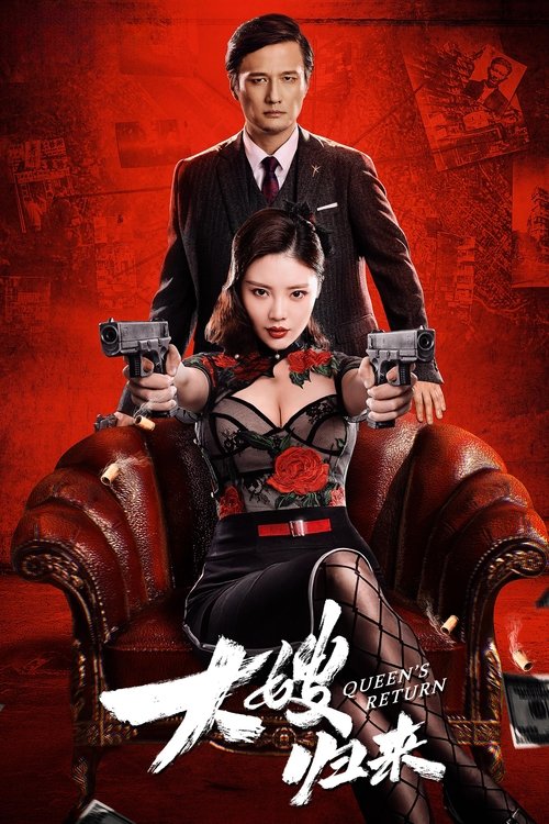 大嫂归来 — постер
