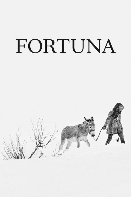 Fortuna — постер