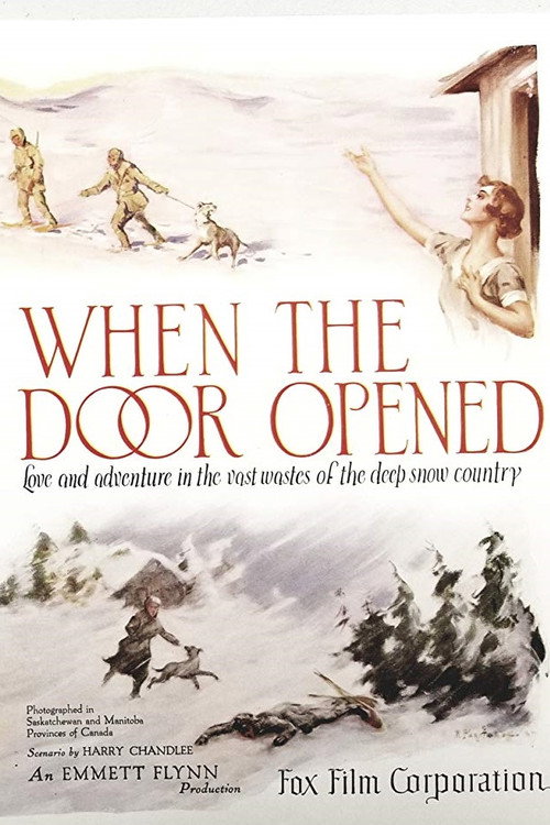 When the Door Opened — постер