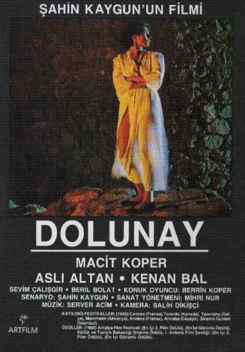 Dolunay — постер