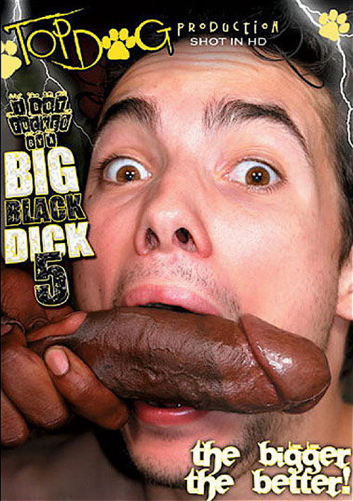 I Got Fucked by a Big Black Dick 5 — постер