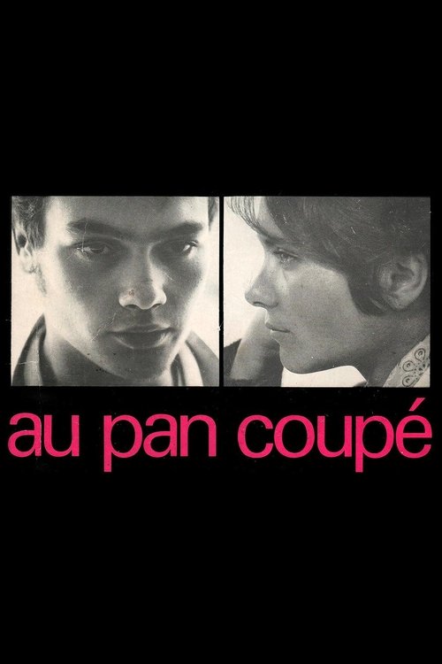 Au pan coupé — постер