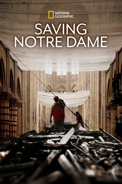 Saving Notre Dame — постер