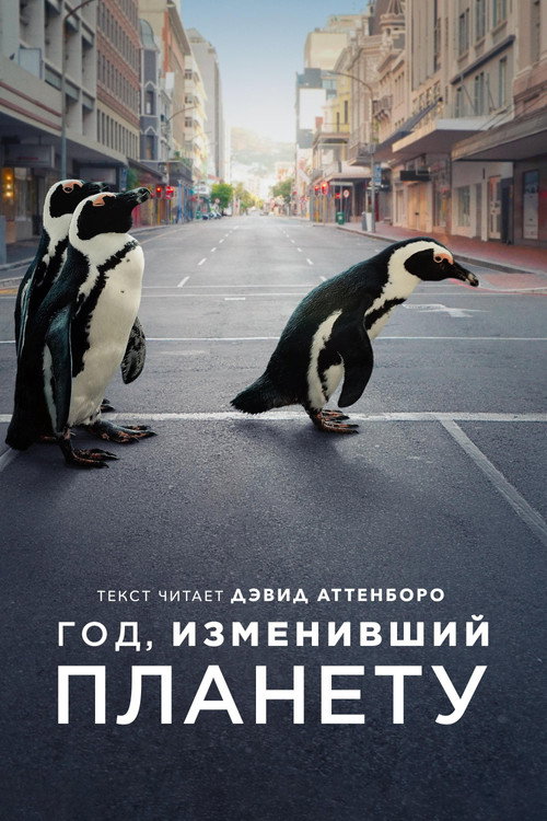 Год, изменивший планету — постер