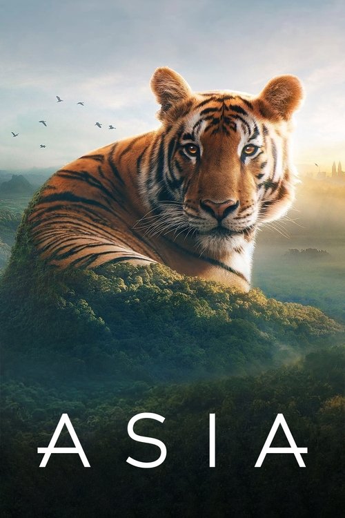 Asia — постер