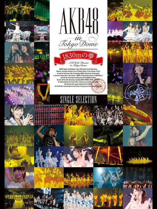 AKB48 in TOKYO DOME ～1830mの夢～ — постер