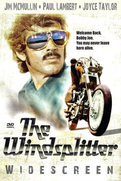 The Windsplitter — постер