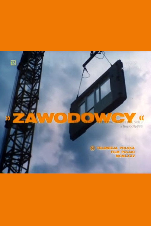 Zawodowcy — постер
