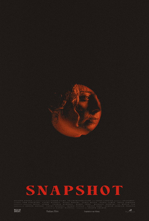 Snapshot — постер